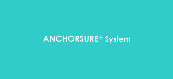AnchorsureSystem