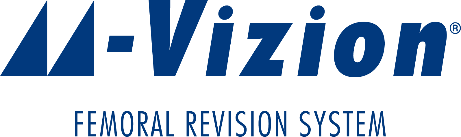 MVizion lockup centred